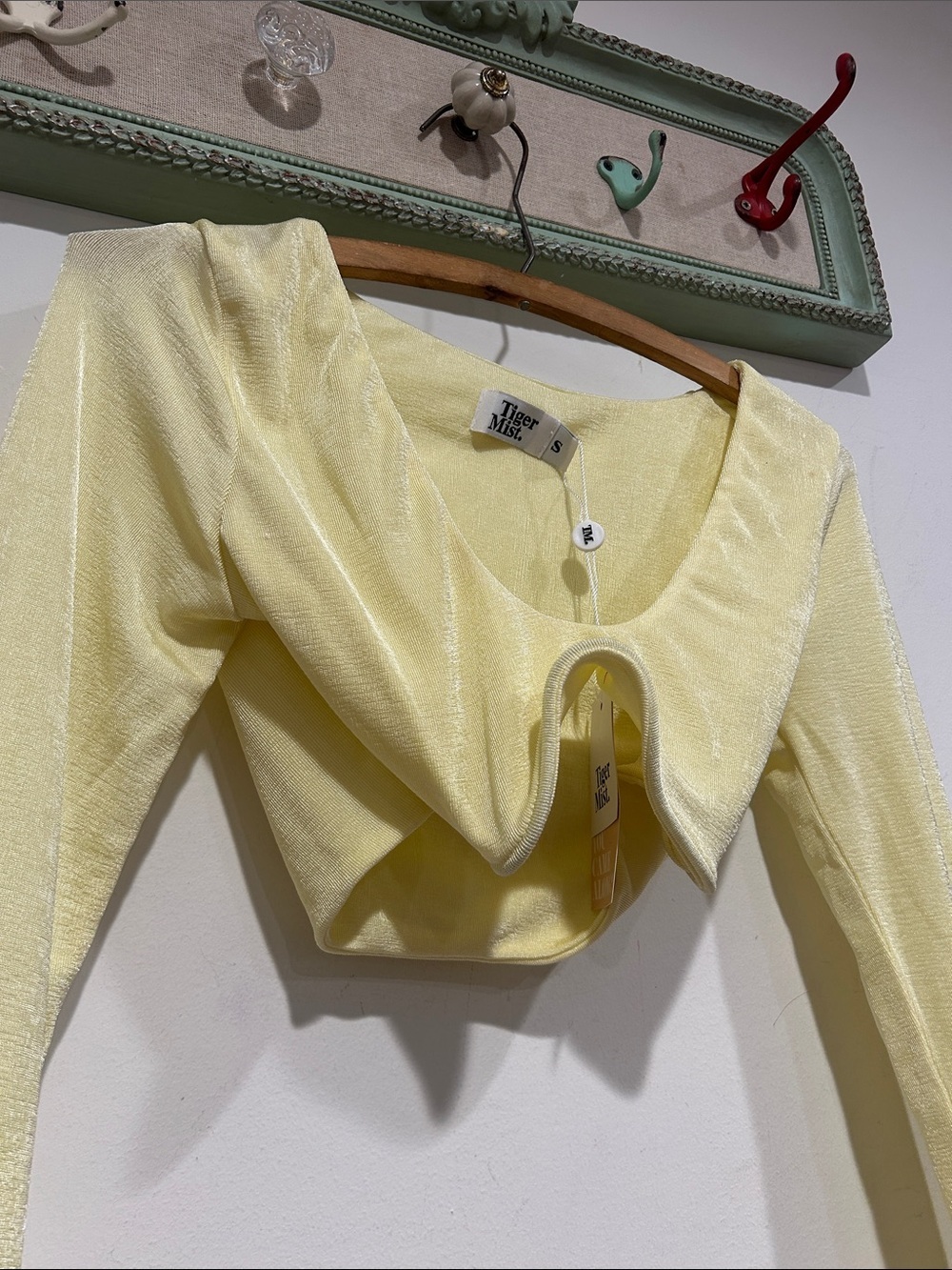 Urban outfitters tiger mist pastel Yellow Cropped Long-Sleeve Top small women’s - Picture 4 of 6